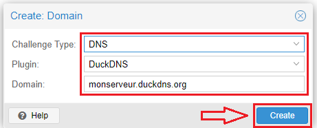 On rensigne le plugin DuckDNS